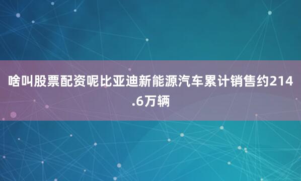 啥叫股票配资呢比亚迪新能源汽车累计销售约214.6万辆