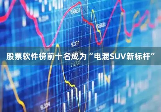 股票软件榜前十名成为“电混SUV新标杆”