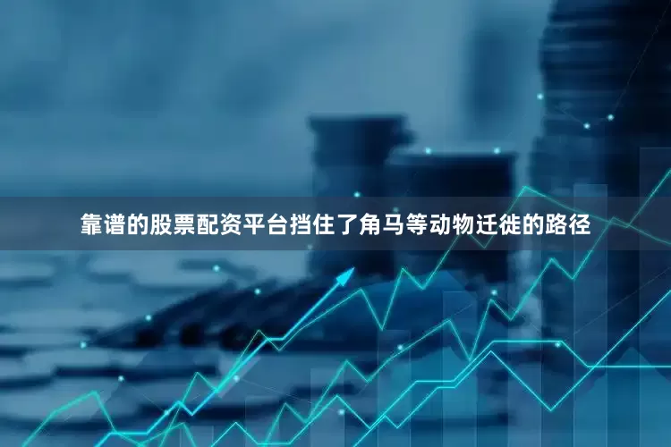 靠谱的股票配资平台挡住了角马等动物迁徙的路径