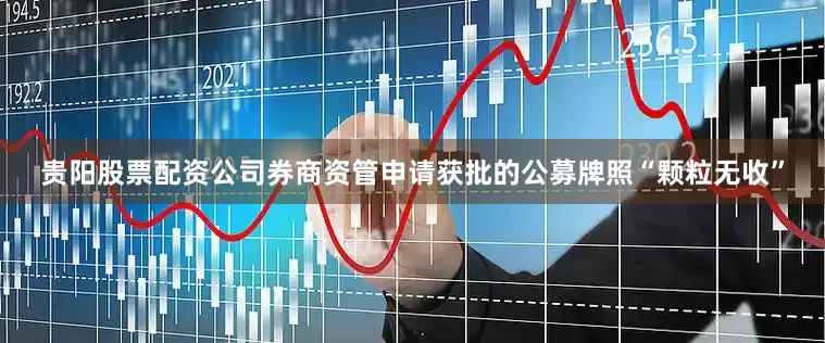 贵阳股票配资公司券商资管申请获批的公募牌照“颗粒无收”